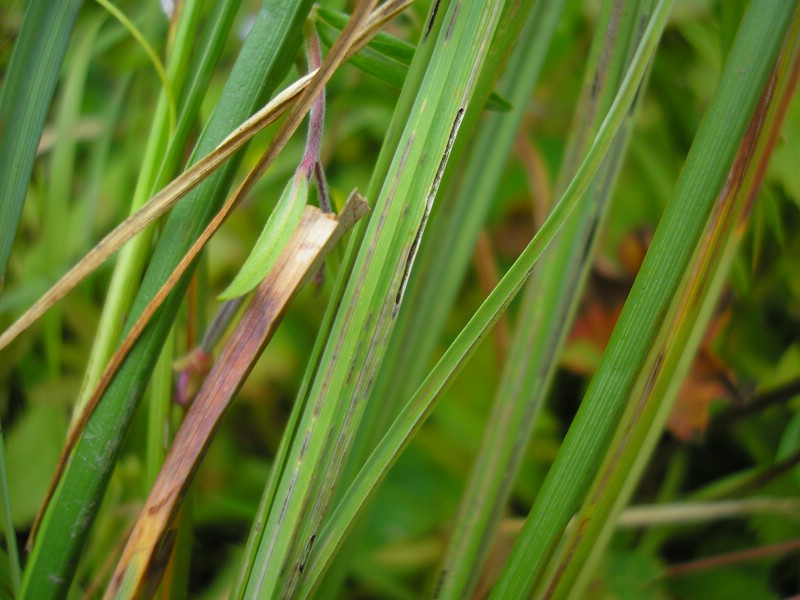 Berchtesgaden (4).jpg