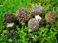 tn_P5047085 - Kopie.JPG