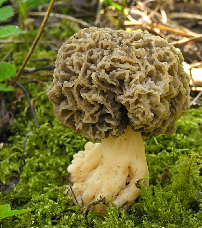 P1010315 - Kopie.JPG