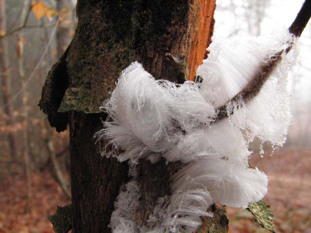 2008122504.jpg
