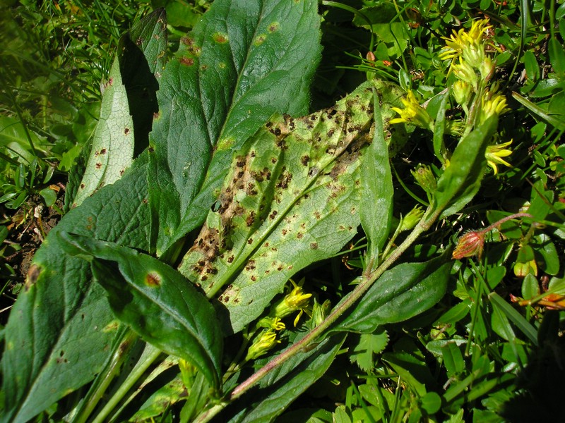 Berchtesgaden (2).jpg