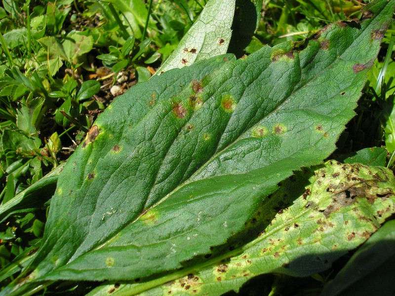 Berchtesgaden (5).jpg