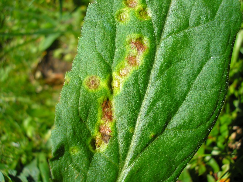 Berchtesgaden (7).jpg