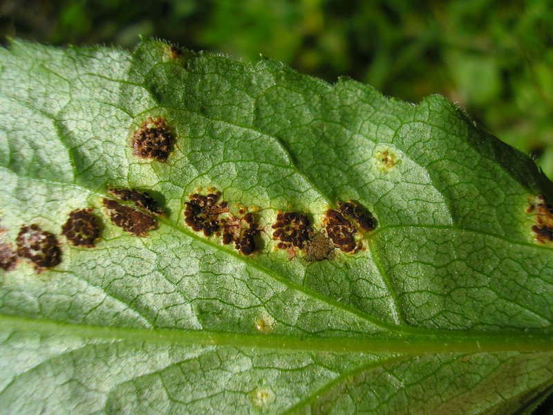 Berchtesgaden (11).jpg