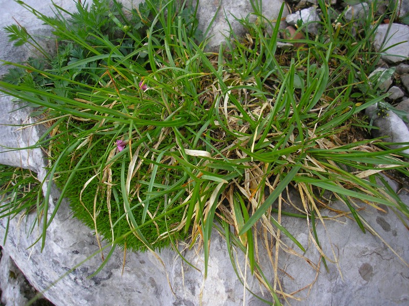 EichstätterWeg (3).jpg