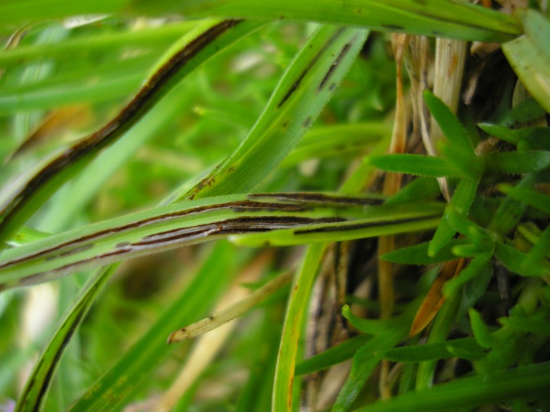 EichstätterWeg (6).jpg