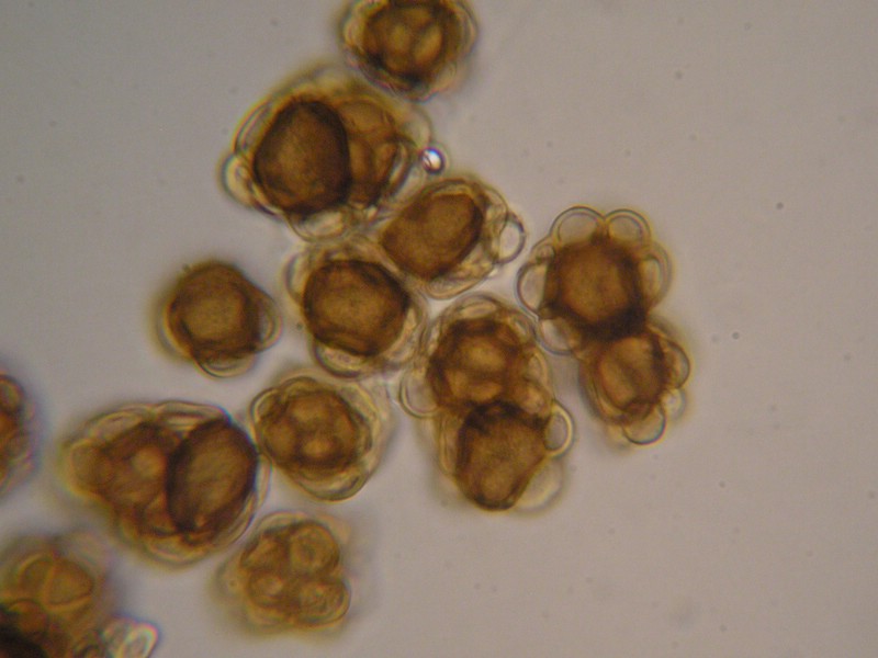 1000er Eichstätter (18).jpg