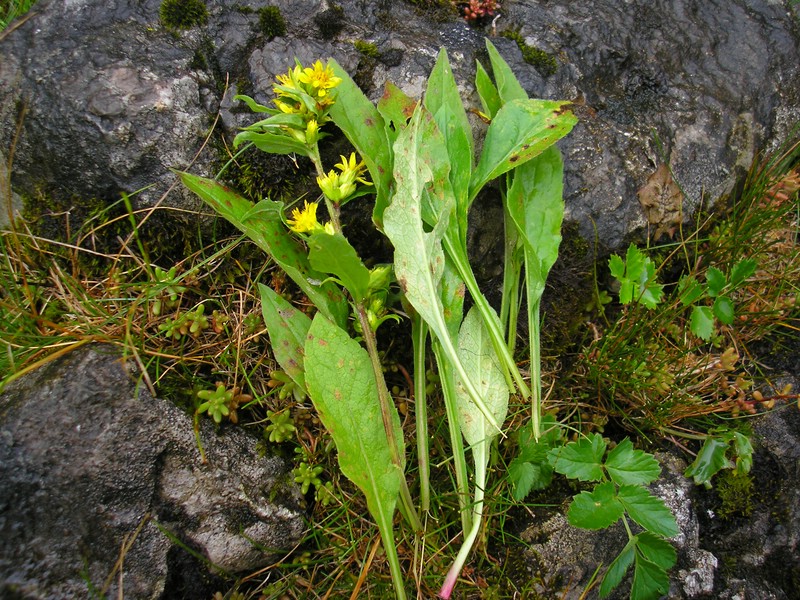 Berchtesgaden (3).jpg