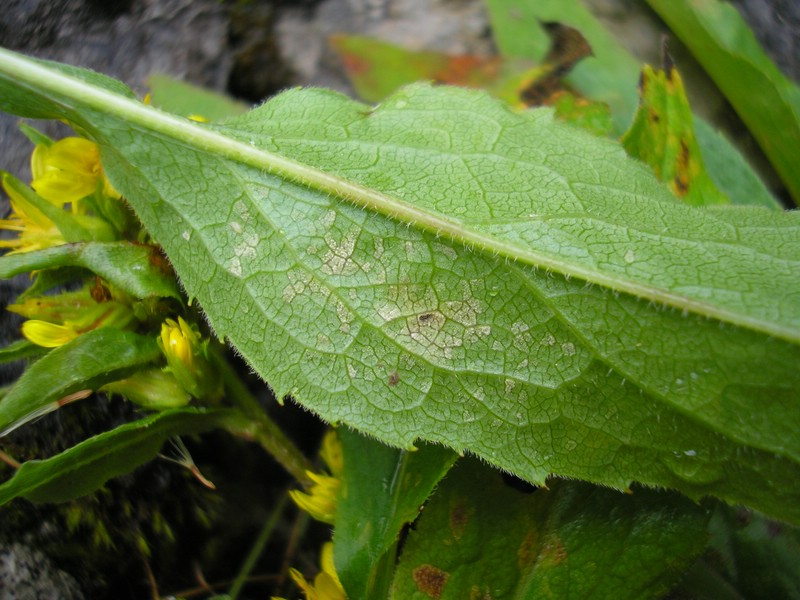 Berchtesgaden (15).jpg