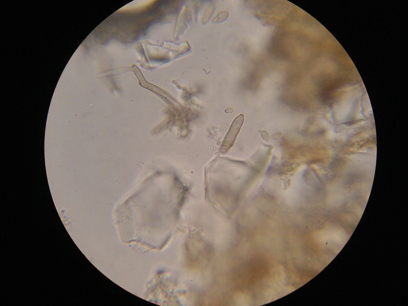 1000er Jerzens (13).jpg