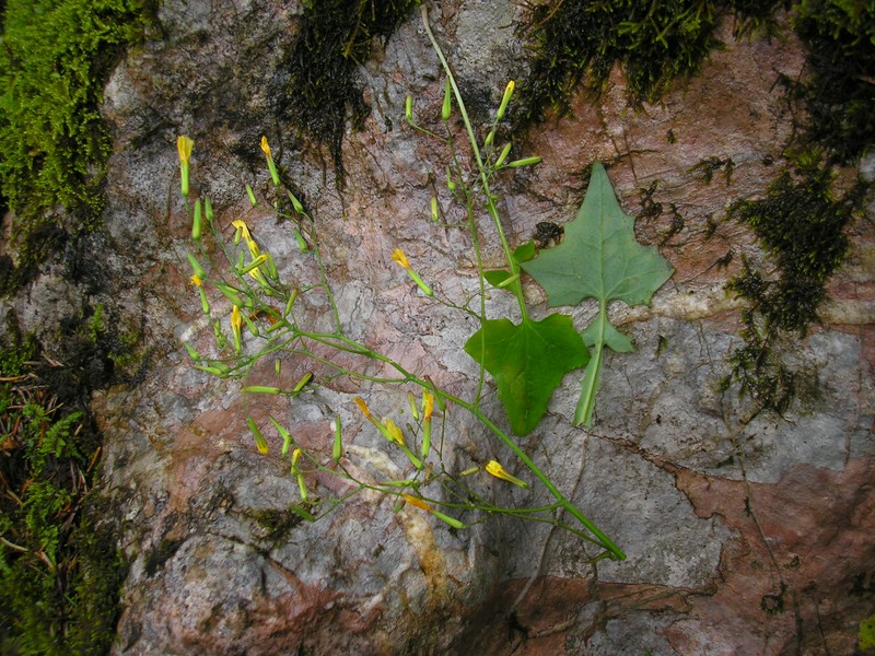 Berchtesgaden (1).jpg