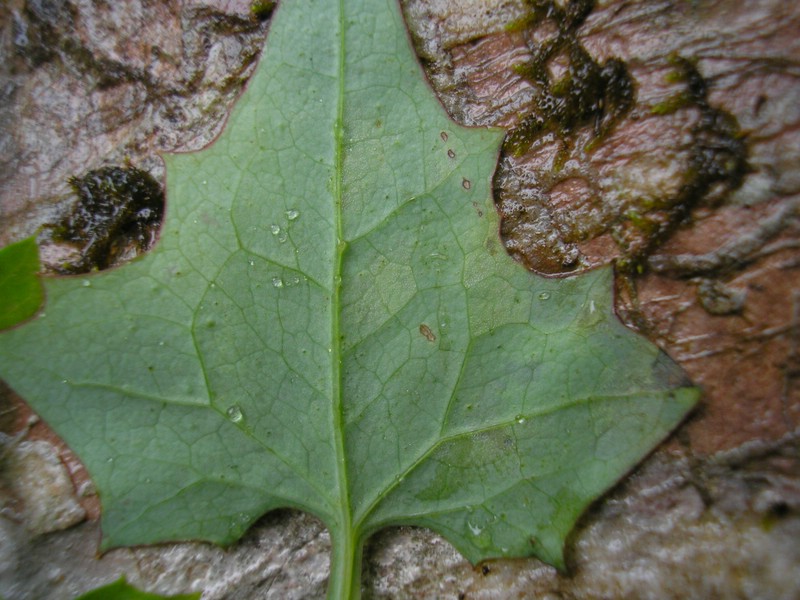 Berchtesgaden (5).jpg
