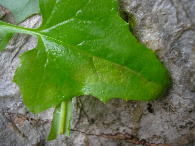 Berchtesgaden (9).jpg
