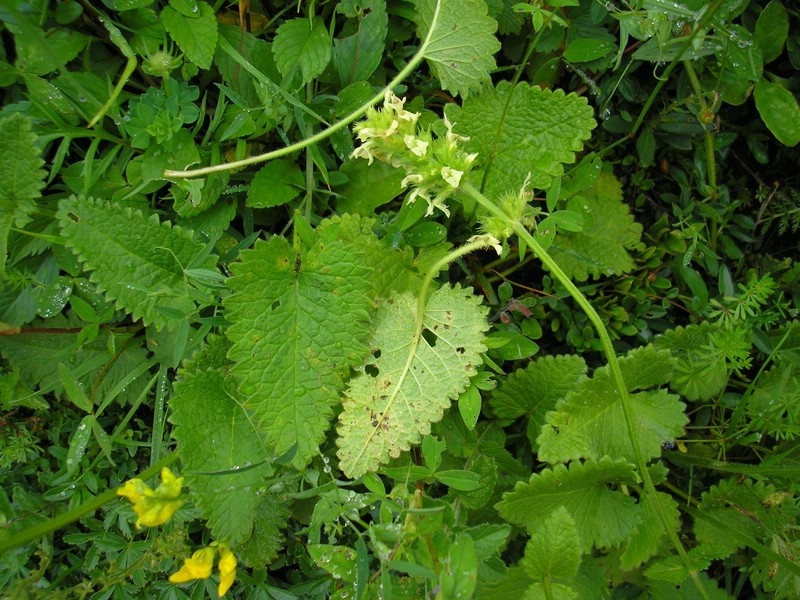 BErchtesgaden (1).jpg