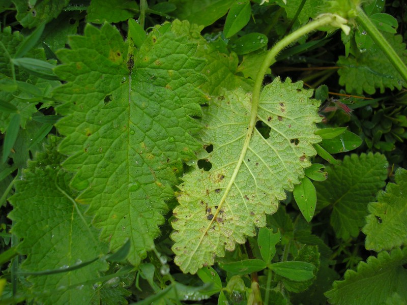 Berchtesgaden (14).jpg