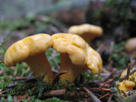 Die habe ich alle mitgenommen