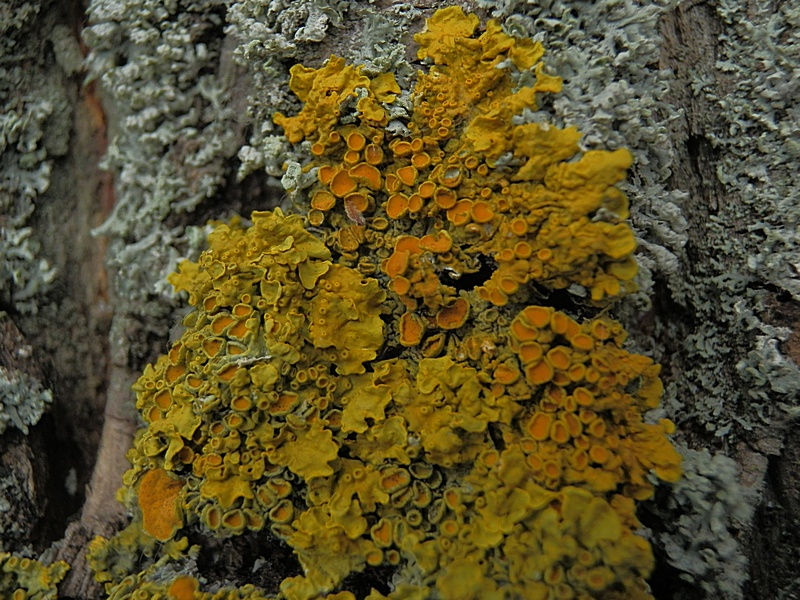 P8250155.JPG