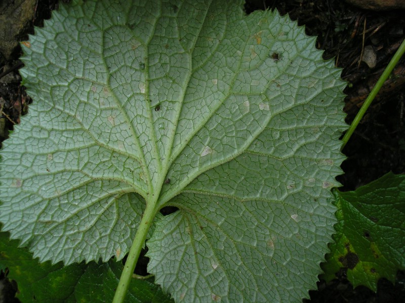 Berchtesgaden (18).jpg