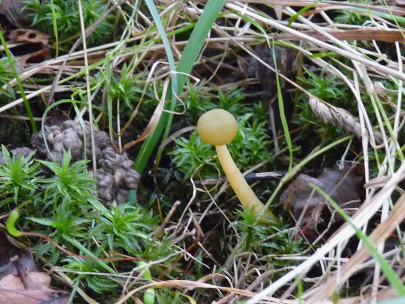 P1080064 was wird das mal .JPG