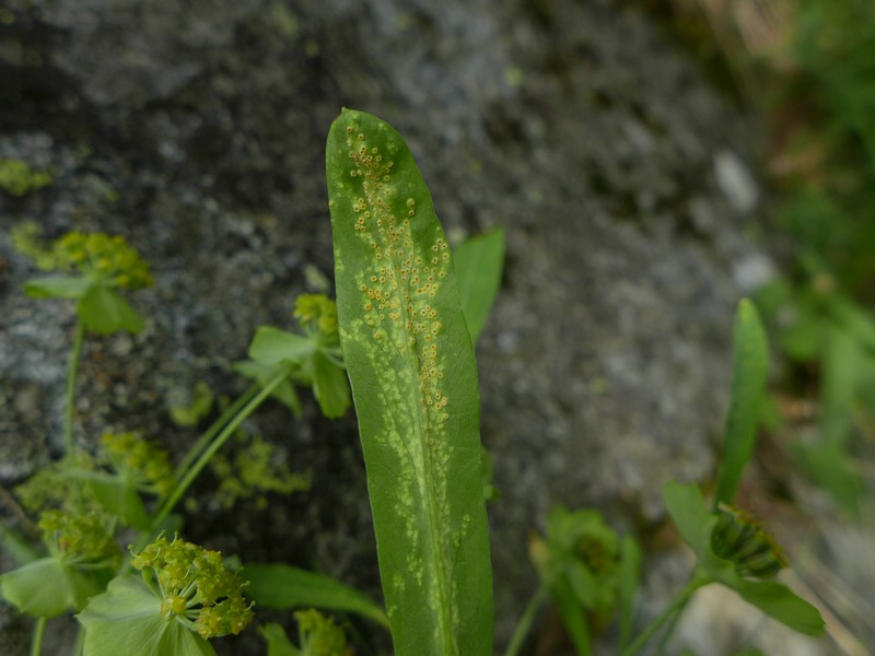 Val di Rhèmes (4).jpg