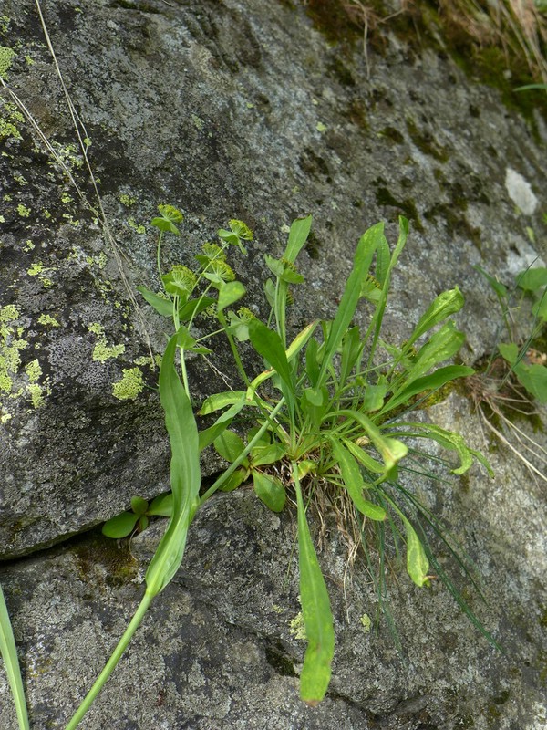 Val di Rhèmes (2).jpg