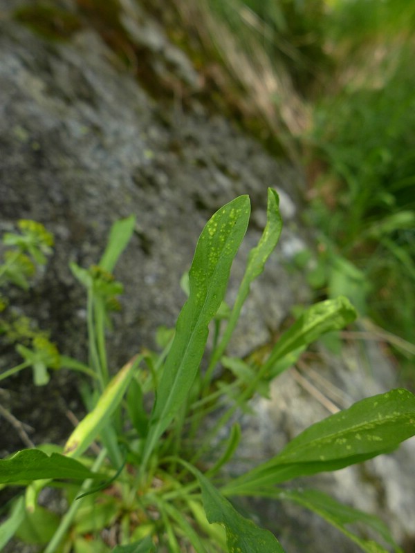 Val di Rhèmes (3).jpg