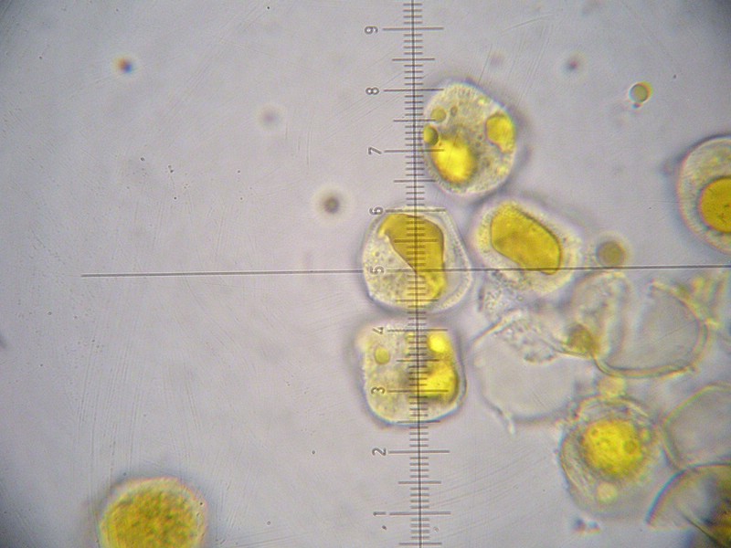 1000er Val di Rhemes (17).jpg