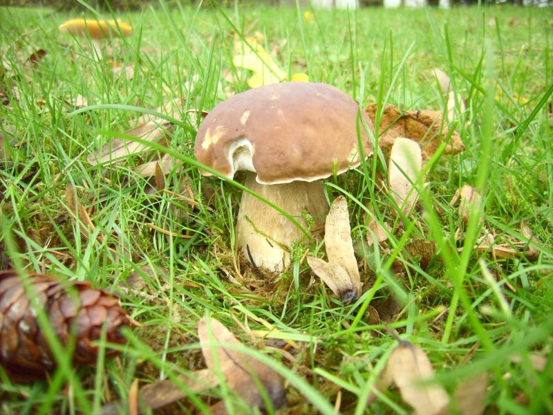 Jung und frisch,jpg.jpg