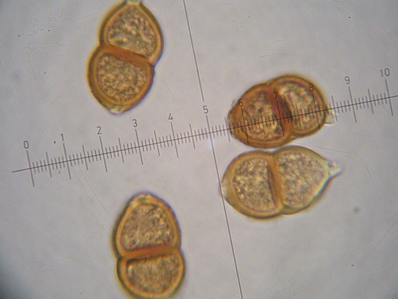 1000er Val Verret (21).jpg