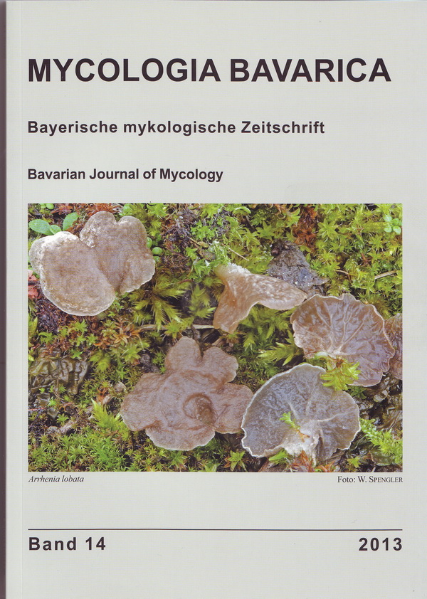 Myco Bav.Bd 14-1.jpg