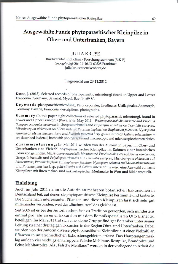 Myco Bav.Bd 14-2.jpg