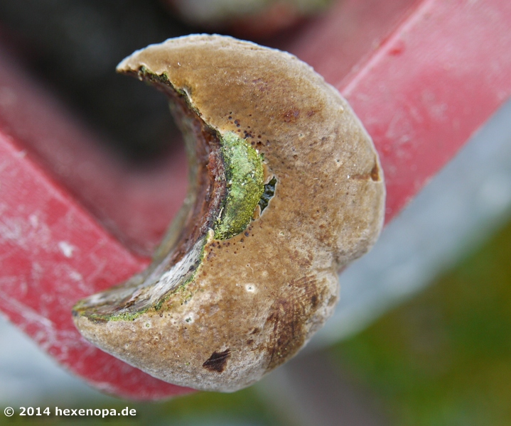 Ansicht von ober, vergrößerter Ausschnitt