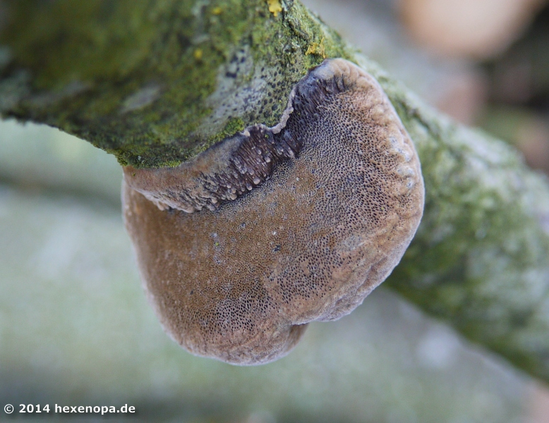 Ansicht von unten, Bildausschnitt vergrößert