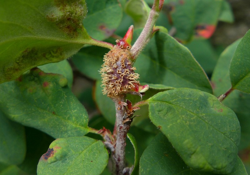 Val di Rhèmes (8).jpg