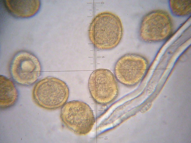 1000er Val di Rhemes (25).jpg