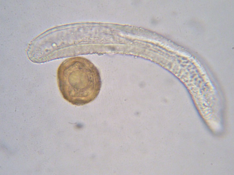 1000er Val di Rhemes (30).jpg