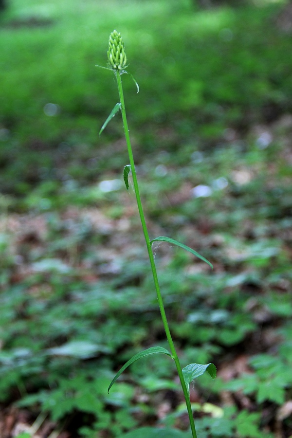 IMG_7644.JPG