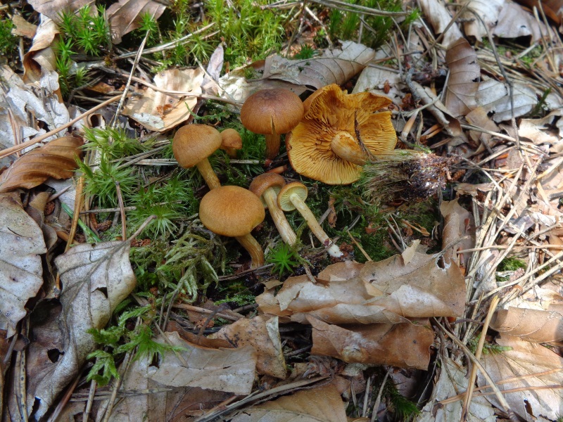 DSC02400.jpg
