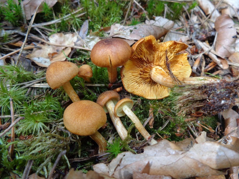 DSC02402.jpg