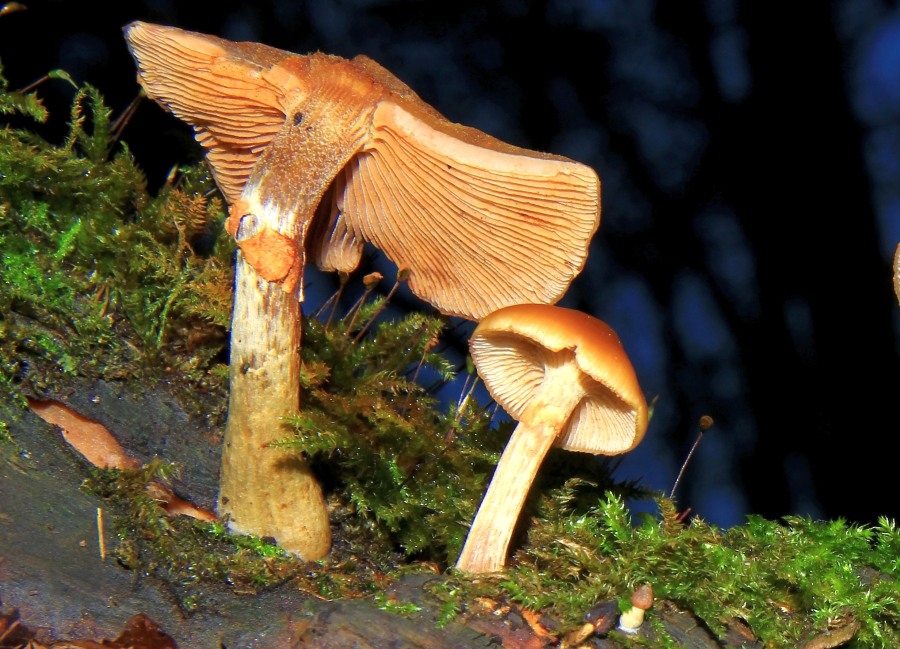 3 Generationen Gift.jpg