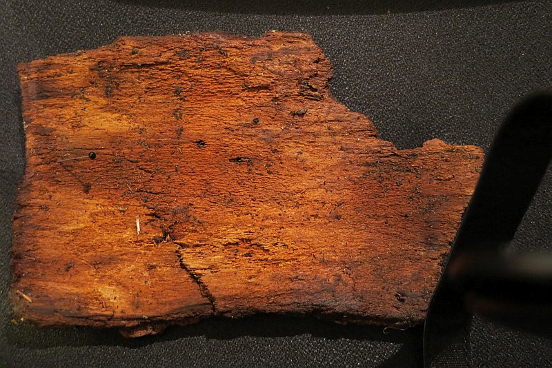 2014-11-11 #10078-f Rinde innen.jpg