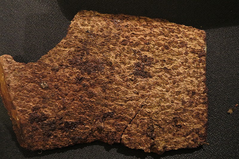 2014-11-11 #10079-f Rinde außen.jpg