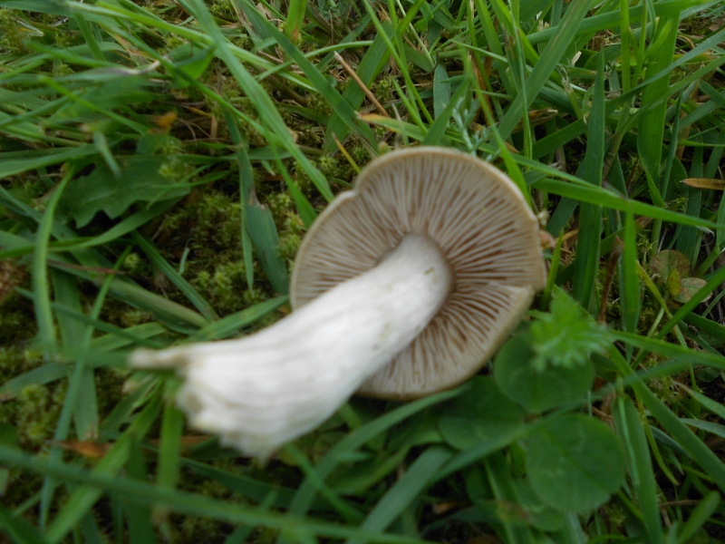 DSCN1359 (800x600).jpg