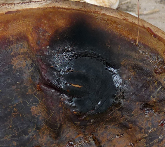 Hutoberseite ohne sichtbare Harztröpfchen, schwarz glänzender Ring