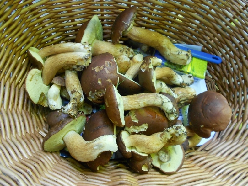 Korb mit Maronen (3).jpg