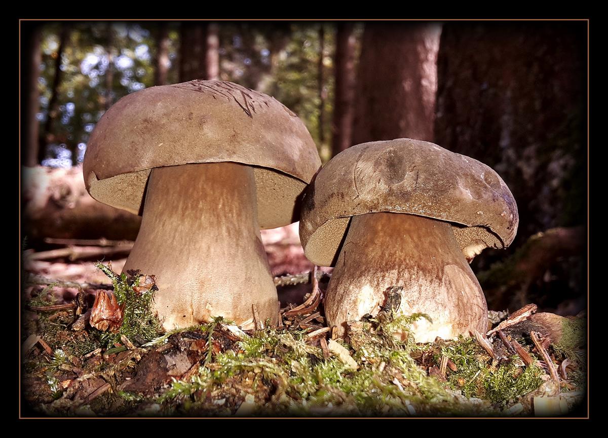 20150925_115528f (Copy).jpg