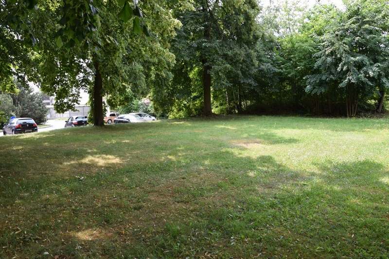 Teilfläche TF-5 (Foto 5.1)