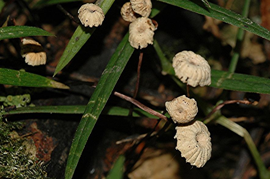 DSC_2370 Ausschnitt, Schärfe 41 %.JPG