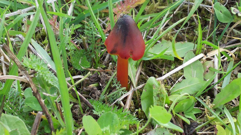 2015-10-18 11.30-v1.jpg