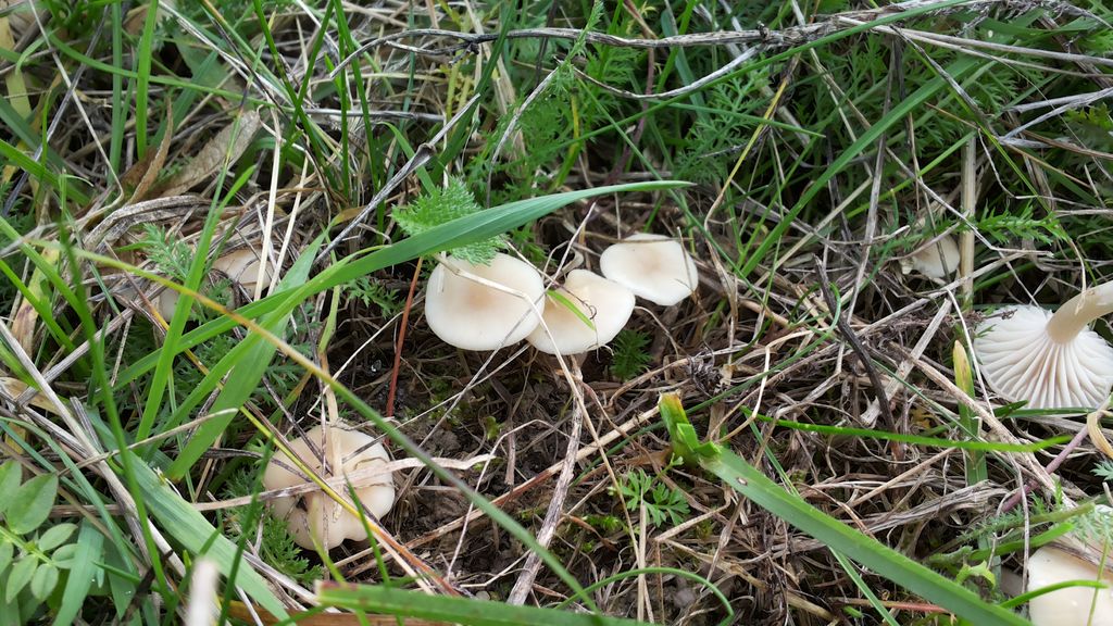 2015-10-18 11.34-v1.jpg